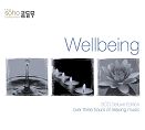 Various - Wellbeing (3CD)